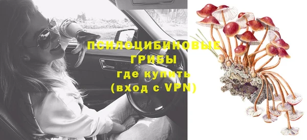 гидропоника Аркадак