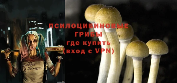 МДМА Арсеньев