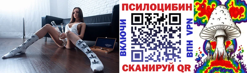 Псилоцибиновые грибы MAGIC MUSHROOMS  kraken онион  Почеп 